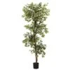 6 Ft. Artificial Variegated Ficus Tree 1 6 Ft. Artificial Variegated Ficus Tree -Artificial nearly natural artificial trees 5345 64 1000