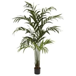 6 Ft. Artificial Kentia Palm Tree