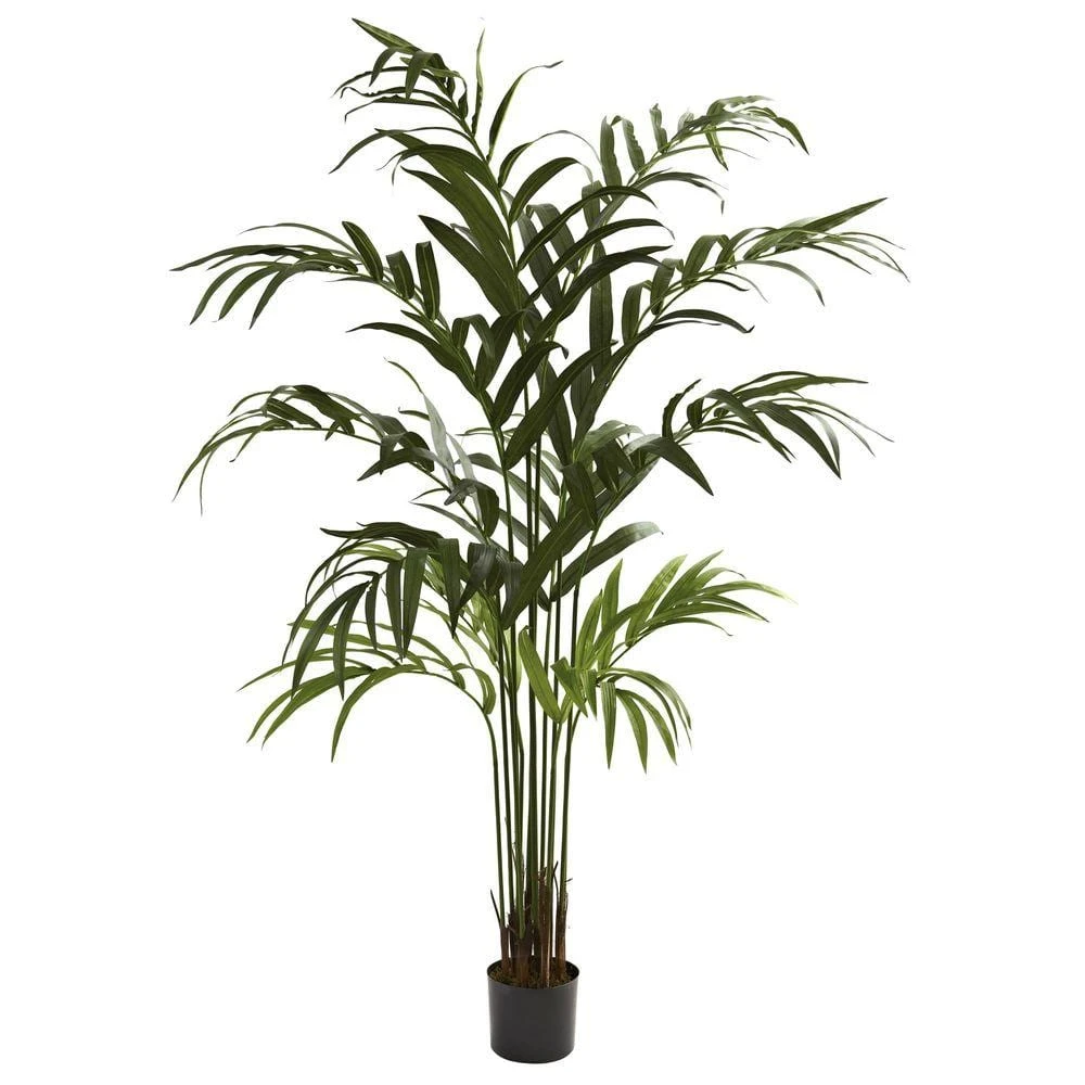 6 Ft. Artificial Kentia Palm Tree 3 6 Ft. Artificial Kentia Palm Tree