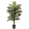 Indoor 5 Ft. Golden Cane Palm Artificial Tree 2 Indoor 5 Ft. Golden Cane Palm Artificial Tree -Artificial nearly natural artificial trees 5358 64 1000