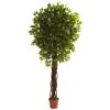 7.5 Ft. Artificial UV Resistant Indoor/Outdoor Ficus Tree 1 7.5 Ft. Artificial UV Resistant Indoor/Outdoor Ficus Tree -Artificial nearly natural artificial trees 5379 64 1000