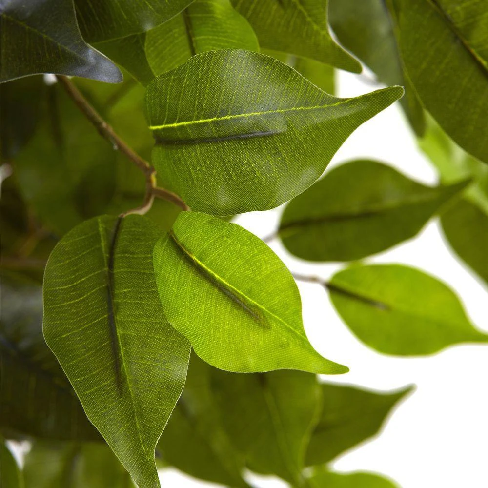 5.5 Ft. Artificial UV Resistant Indoor/Outdoor Ficus Tree 5 5.5 Ft. Artificial UV Resistant Indoor/Outdoor Ficus Tree - Image 3