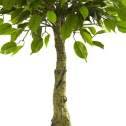 3 Ft. Artificial UV Resistant Indoor/Outdoor Ficus Tree 9 3 Ft. Artificial UV Resistant Indoor/Outdoor Ficus Tree -Artificial nearly natural artificial trees 5383 4f 1000
