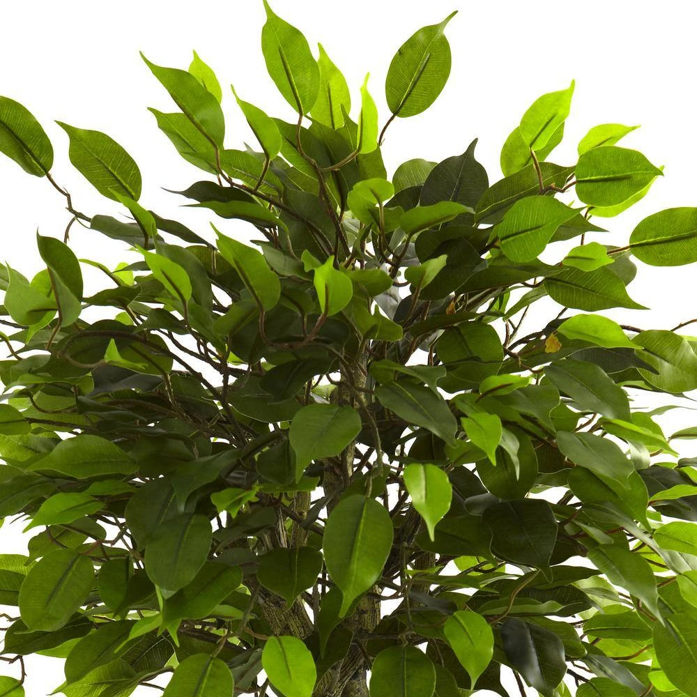 3 Ft. Artificial UV Resistant Indoor/Outdoor Ficus Tree 4 3 Ft. Artificial UV Resistant Indoor/Outdoor Ficus Tree - Image 2