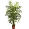 4.5 Ft. Artificial UV Resistant Indoor/Outdoor Areca Palm 2 4.5 Ft. Artificial UV Resistant Indoor/Outdoor Areca Palm -Artificial nearly natural artificial trees 5389 64 1000
