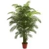6.5 Ft. Artificial UV Resistant Indoor/Outdoor Areca Palm 2 6.5 Ft. Artificial UV Resistant Indoor/Outdoor Areca Palm -Artificial nearly natural artificial trees 5390 64 1000