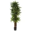 6.5 Ft. Artificial Dracaena Tree 1 6.5 Ft. Artificial Dracaena Tree -Artificial nearly natural artificial trees 5403 64 1000