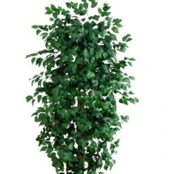 8 Ft. Artificial Ficus Tree 12 8 Ft. Artificial Ficus Tree -Artificial nearly natural artificial trees 5427 1f 1000