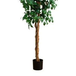 8 Ft. Artificial Ficus Tree 14 8 Ft. Artificial Ficus Tree -Artificial nearly natural artificial trees 5427 fa 1000