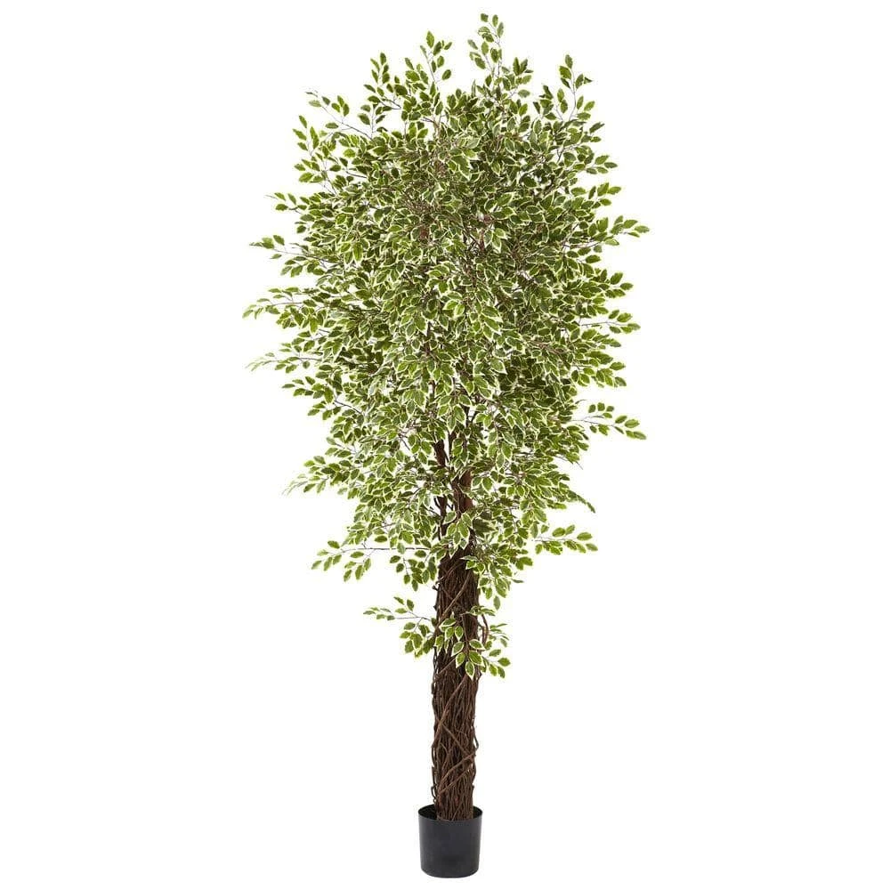 7.5 Ft. Artificial Variegated Mini Ficus 3 7.5 Ft. Artificial Variegated Mini Ficus