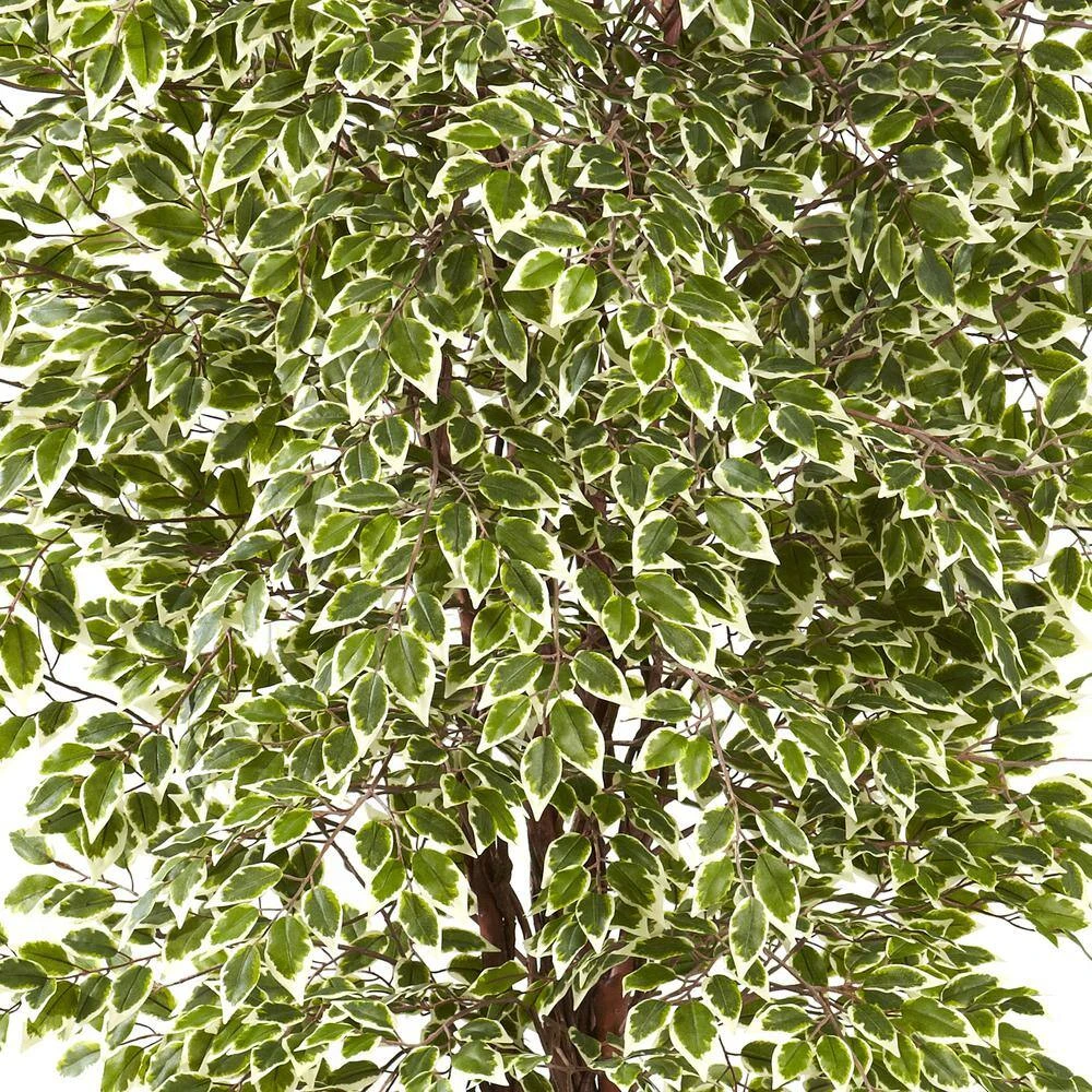7.5 Ft. Artificial Variegated Mini Ficus 4 7.5 Ft. Artificial Variegated Mini Ficus - Image 2