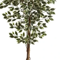 6 Ft. Artificial Hawaiian Ficus Tree 9 6 Ft. Artificial Hawaiian Ficus Tree -Artificial nearly natural artificial trees 5437 4f 1000