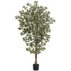 6 Ft. Artificial Hawaiian Ficus Tree 2 6 Ft. Artificial Hawaiian Ficus Tree -Artificial nearly natural artificial trees 5437 64 1000