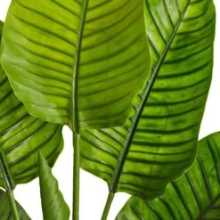 63 In. Artificial UV Resistant Indoor/Outdoor Travelers Palm Tree 24 63 In. Artificial UV Resistant Indoor/Outdoor Travelers Palm Tree -Artificial nearly natural artificial trees 5445 44 1000