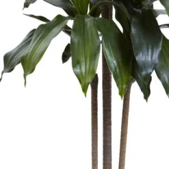 5 Ft. Artificial Indoor/Outdoor UV Resistant Dracaena Plant 9 5 Ft. Artificial Indoor/Outdoor UV Resistant Dracaena Plant -Artificial nearly natural artificial trees 5446 31 1000