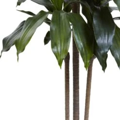 5 Ft. Artificial Indoor/Outdoor UV Resistant Dracaena Plant 8 5 Ft. Artificial Indoor/Outdoor UV Resistant Dracaena Plant -Artificial nearly natural artificial trees 5446 4f 1000