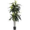 5 Ft. Artificial Indoor/Outdoor UV Resistant Dracaena Plant -Artificial nearly natural artificial trees 5446 64 1000