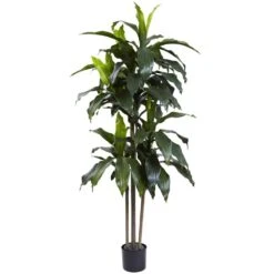 5 Ft. Artificial Indoor/Outdoor UV Resistant Dracaena Plant