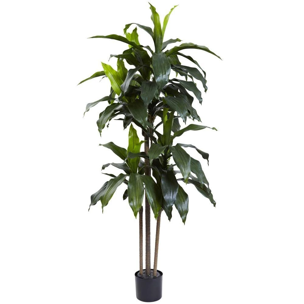 5 Ft. Artificial Indoor/Outdoor UV Resistant Dracaena Plant 3 5 Ft. Artificial Indoor/Outdoor UV Resistant Dracaena Plant
