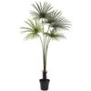 7 Ft. Artificial UV Resistant Indoor/Outdoor Fan Palm Tree 1 7 Ft. Artificial UV Resistant Indoor/Outdoor Fan Palm Tree -Artificial nearly natural artificial trees 5447 64 1000