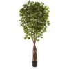 7.5 Ft. Artificial Super Deluxe Ficus Tree 1 7.5 Ft. Artificial Super Deluxe Ficus Tree -Artificial nearly natural artificial trees 5453 64 1000