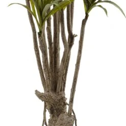 Indoor 5 Ft. Artificial Dracaena Silk Tree 8 Indoor 5 Ft. Artificial Dracaena Silk Tree -Artificial nearly natural artificial trees 5466 4f 1000