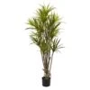 Indoor 5 Ft. Artificial Dracaena Silk Tree 2 Indoor 5 Ft. Artificial Dracaena Silk Tree -Artificial nearly natural artificial trees 5466 64 1000