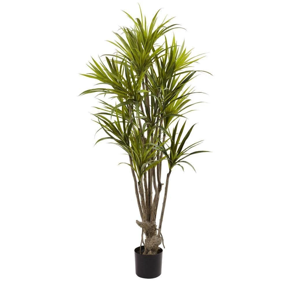 Indoor 5 Ft. Artificial Dracaena Silk Tree 3 Indoor 5 Ft. Artificial Dracaena Silk Tree