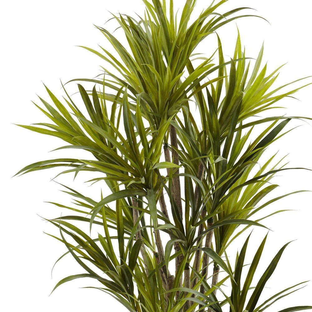 Indoor 5 Ft. Artificial Dracaena Silk Tree 4 Indoor 5 Ft. Artificial Dracaena Silk Tree - Image 2