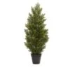 3 Ft. Artificial Indoor/Outdoor Mini Cedar Pine Tree 1 3 Ft. Artificial Indoor/Outdoor Mini Cedar Pine Tree -Artificial nearly natural artificial trees 5470 64 1000