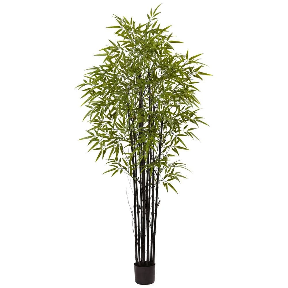 Indoor And Outdoor 6 Ft. Artificial Black Bamboo Tree UV Resistant 3 Indoor And Outdoor 6 Ft. Artificial Black Bamboo Tree UV Resistant