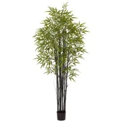 Indoor And Outdoor 6 Ft. Artificial Black Bamboo Tree UV Resistant 14 Indoor And Outdoor 6 Ft. Artificial Black Bamboo Tree UV Resistant -Artificial nearly natural artificial trees 5481 66 1000