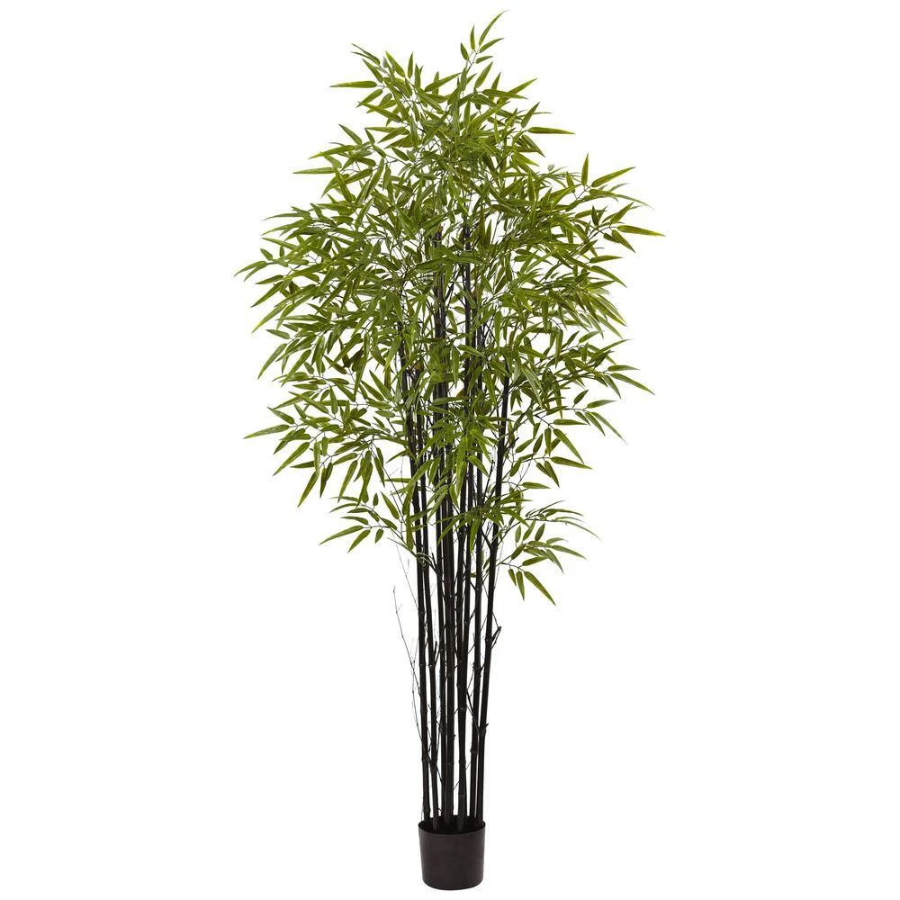 Indoor And Outdoor 6 Ft. Artificial Black Bamboo Tree UV Resistant 5 Indoor And Outdoor 6 Ft. Artificial Black Bamboo Tree UV Resistant - Image 3