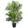Indoor 3 Ft. Paradise Palm Artificial Tree 2 Indoor 3 Ft. Paradise Palm Artificial Tree -Artificial nearly natural artificial trees 5498 64 1000