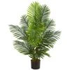 Indoor 4 Ft. Paradise Palm Artificial Tree 1 Indoor 4 Ft. Paradise Palm Artificial Tree -Artificial nearly natural artificial trees 5499 64 1000