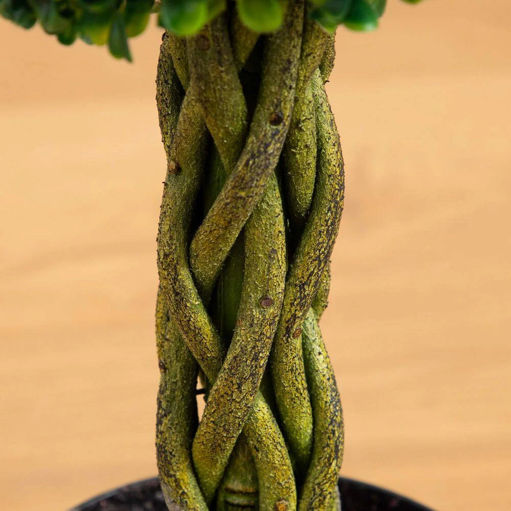 2 Ft. UV Resistant Indoor/Outdoor Boxwood Ball With Woven Trunk Artificial Tree 5 2 Ft. UV Resistant Indoor/Outdoor Boxwood Ball With Woven Trunk Artificial Tree - Image 3