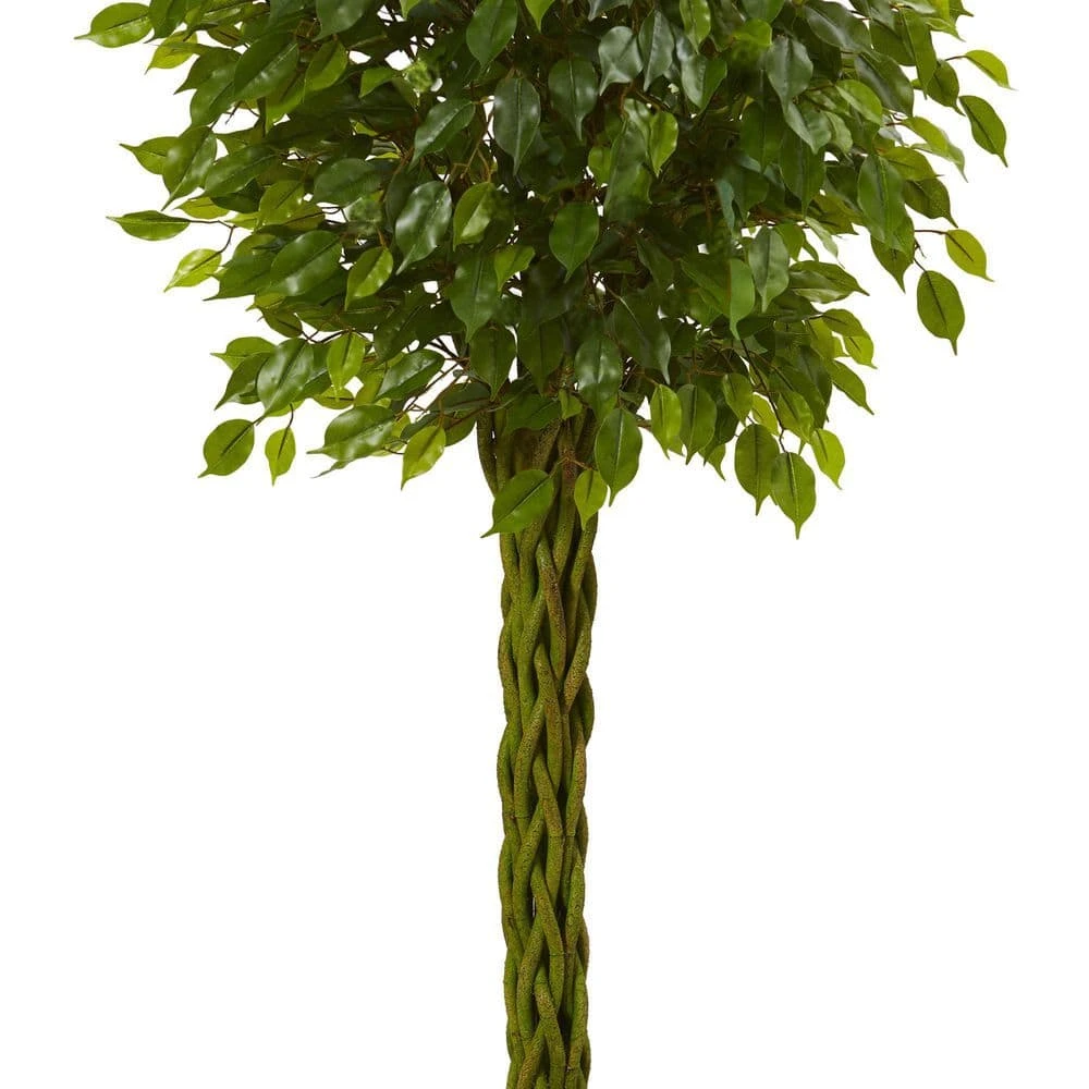 5 Ft. UV Resistant Indoor/Outdoor Ficus Artificial Tree With Woven Trunk 5 5 Ft. UV Resistant Indoor/Outdoor Ficus Artificial Tree With Woven Trunk - Image 3