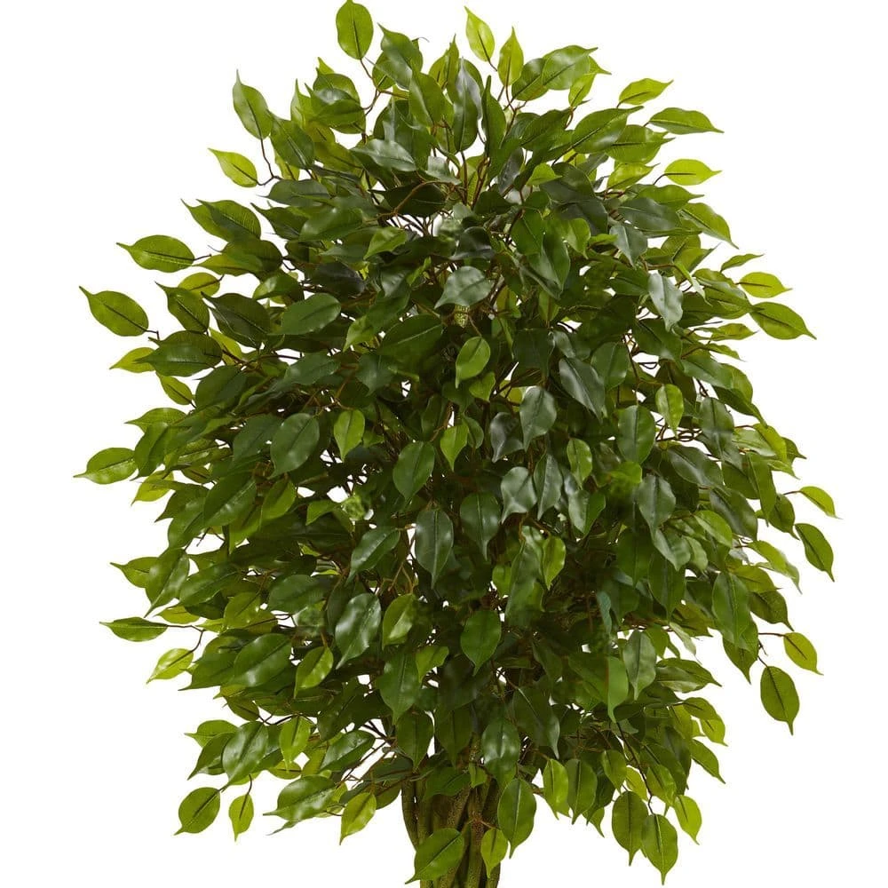5 Ft. UV Resistant Indoor/Outdoor Ficus Artificial Tree With Woven Trunk 4 5 Ft. UV Resistant Indoor/Outdoor Ficus Artificial Tree With Woven Trunk - Image 2