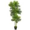 Indoor 6 Ft. Phoenix Palm Artificial Tree 2 Indoor 6 Ft. Phoenix Palm Artificial Tree -Artificial nearly natural artificial trees 5537 64 1000