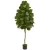 Indoor 6 Ft. Fiddle Leaf Fig Artificial Tree 1 Indoor 6 Ft. Fiddle Leaf Fig Artificial Tree -Artificial nearly natural artificial trees 5550 64 1000