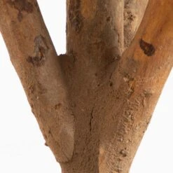 Indoor 3 Ft. Bonsai Styled Podocarpus Artificial Tree 8 Indoor 3 Ft. Bonsai Styled Podocarpus Artificial Tree -Artificial nearly natural artificial trees 5554 4f 1000