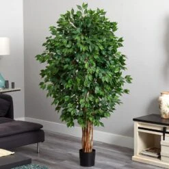 Indoor 5.5 In. Ficus Artificial Tree 13 Indoor 5.5 In. Ficus Artificial Tree -Artificial nearly natural artificial trees 5569 44 1000