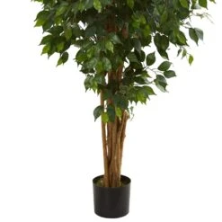 Indoor 5.5 In. Ficus Artificial Tree 11 Indoor 5.5 In. Ficus Artificial Tree -Artificial nearly natural artificial trees 5569 4f 1000