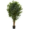 Indoor 5.5 In. Ficus Artificial Tree 1 Indoor 5.5 In. Ficus Artificial Tree -Artificial nearly natural artificial trees 5569 64 1000