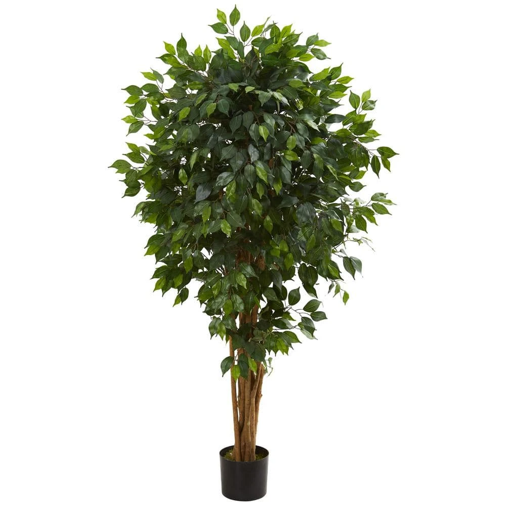Indoor 5.5 In. Ficus Artificial Tree 3 Indoor 5.5 In. Ficus Artificial Tree