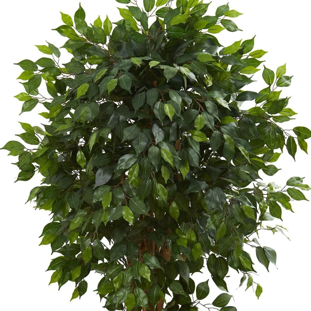 Indoor 5.5 In. Ficus Artificial Tree 4 Indoor 5.5 In. Ficus Artificial Tree - Image 2