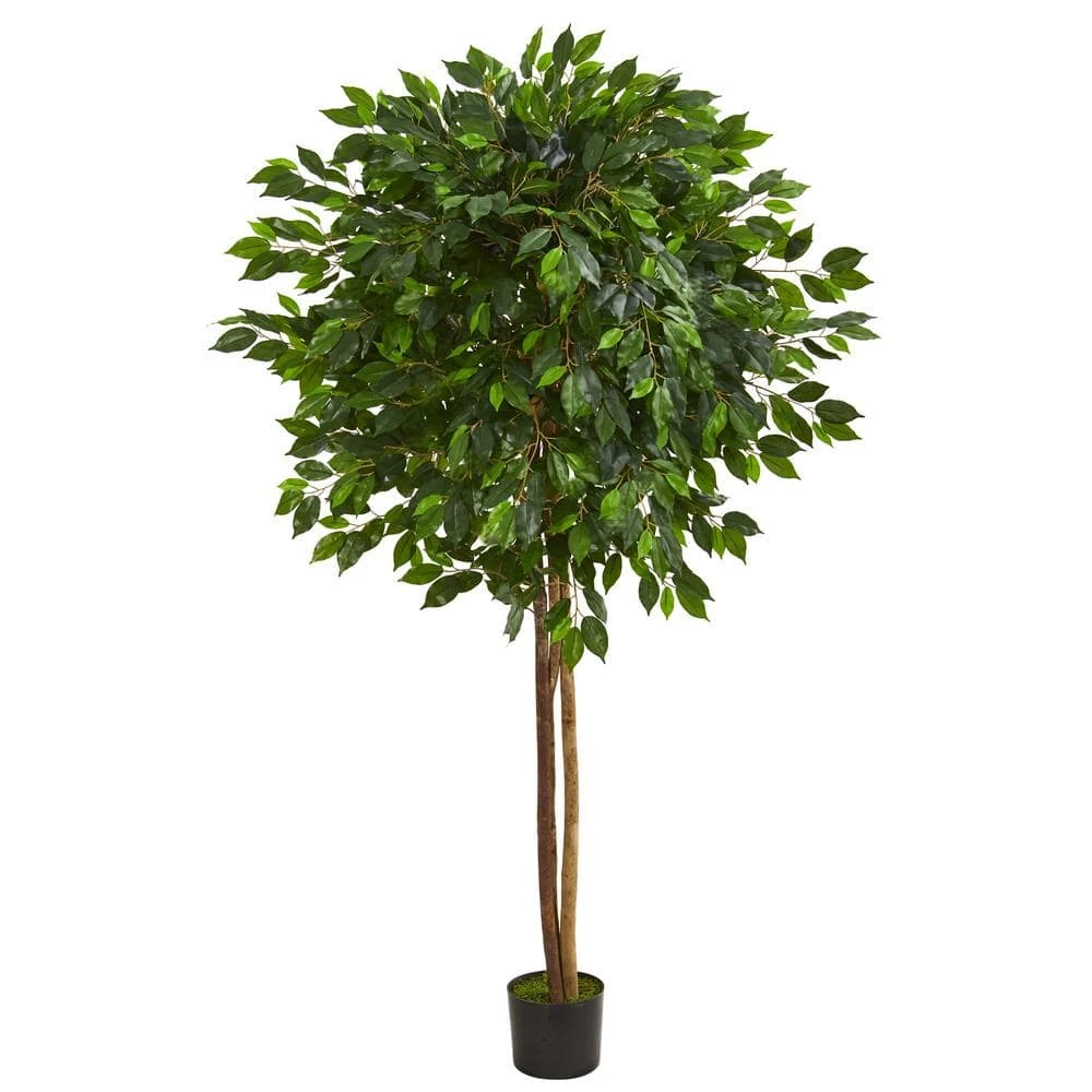 Indoor 6.5 Ft. Ficus Artificial Tree 3 Indoor 6.5 Ft. Ficus Artificial Tree