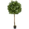 Indoor 5.5 Ft. Ficus Artificial Tree 1 Indoor 5.5 Ft. Ficus Artificial Tree -Artificial nearly natural artificial trees 5572 64 1000