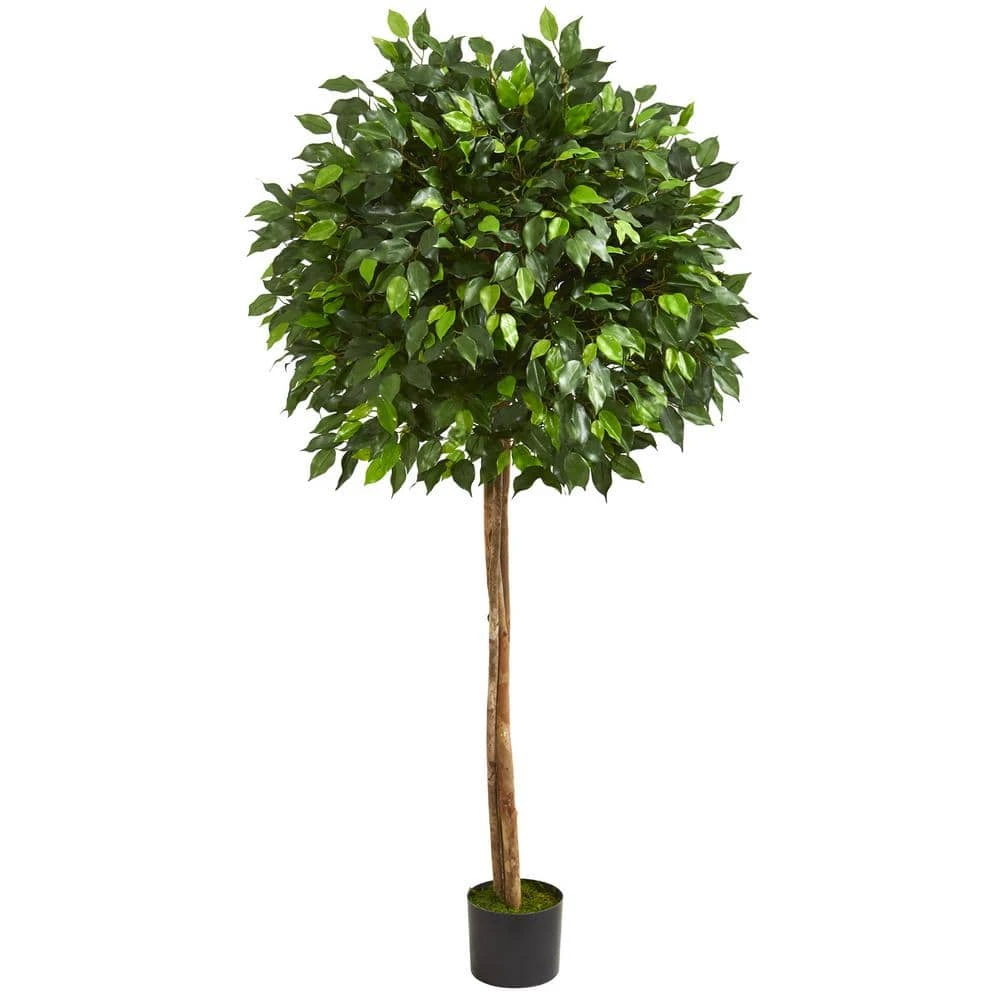 Indoor 5.5 Ft. Ficus Artificial Tree 3 Indoor 5.5 Ft. Ficus Artificial Tree