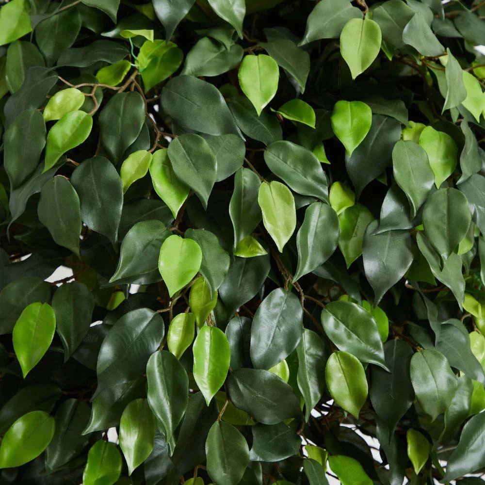 Indoor 5.5 Ft. Ficus Artificial Tree 4 Indoor 5.5 Ft. Ficus Artificial Tree - Image 2